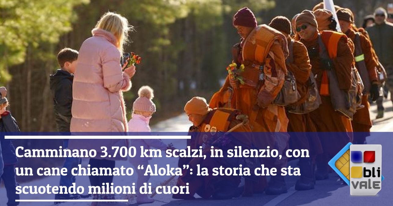 blivale_image_it_Camminano 3700 km scalzi in silenzio con un cane chiamato Aloka_643x337 Camminano 3.700 km scalzi, in silenzio, con un cane chiamato &ldquo;Aloka&rdquo;: la storia che sta scuotendo milioni di cuori